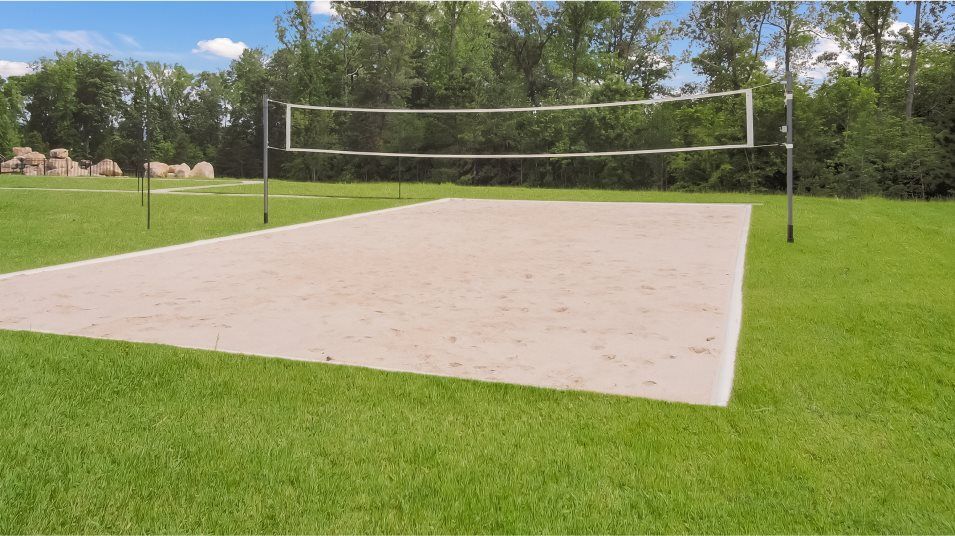 Trace at olde towne volleyball court