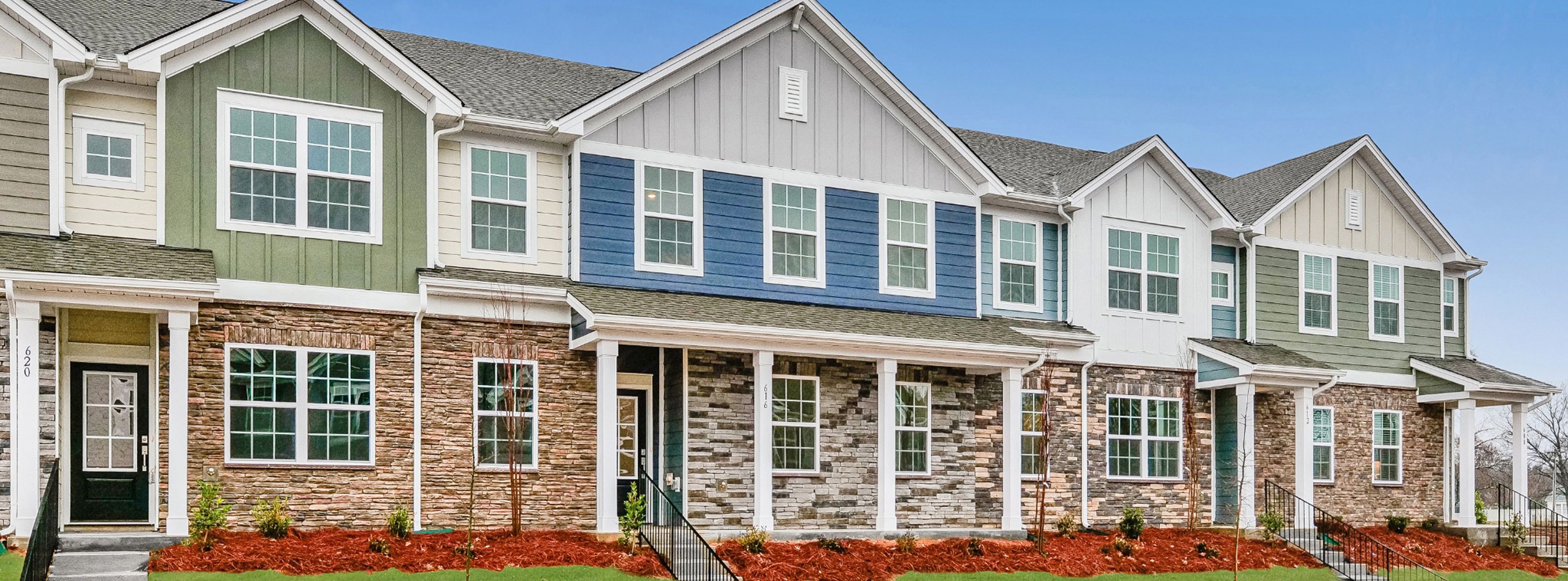 Cannon Village - Cosmos