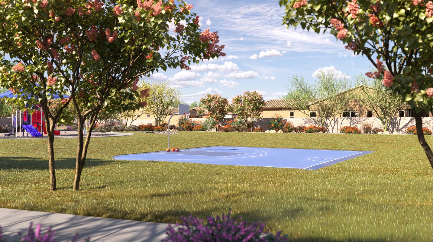 Basketball court in a grassy area
