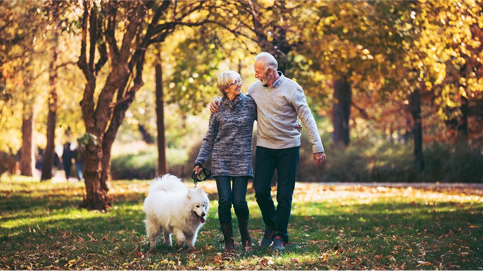 N Pic Active Adult Couple Outdoors Walking Dog Park Autumn
