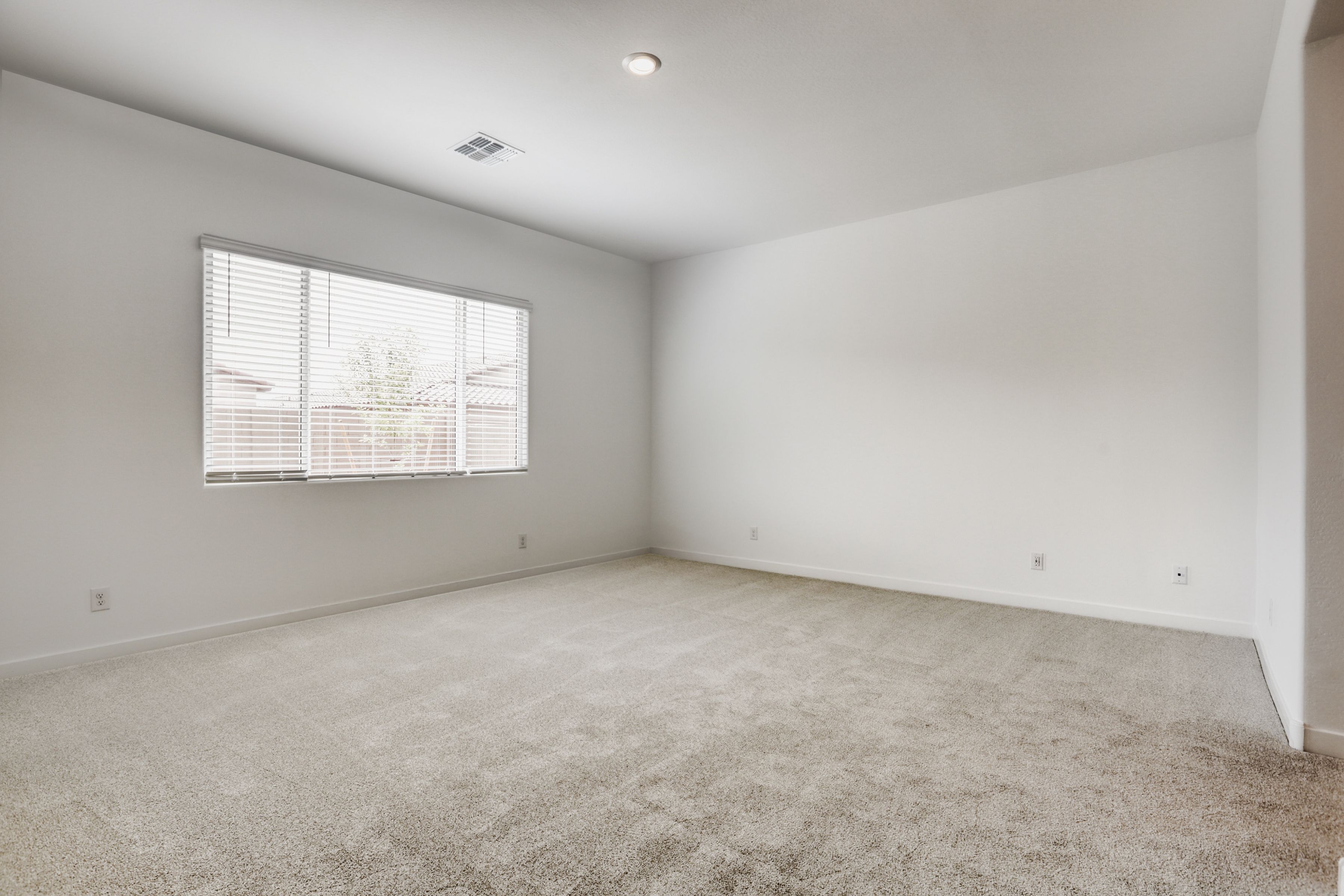 25185 N 177th DR   Print Quality   007   07 Primary Bedroom