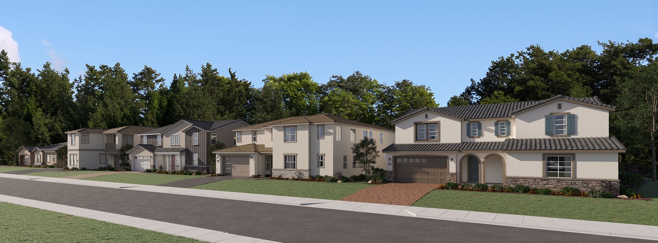 Castle Peak East Ridge Streetscape 2of2