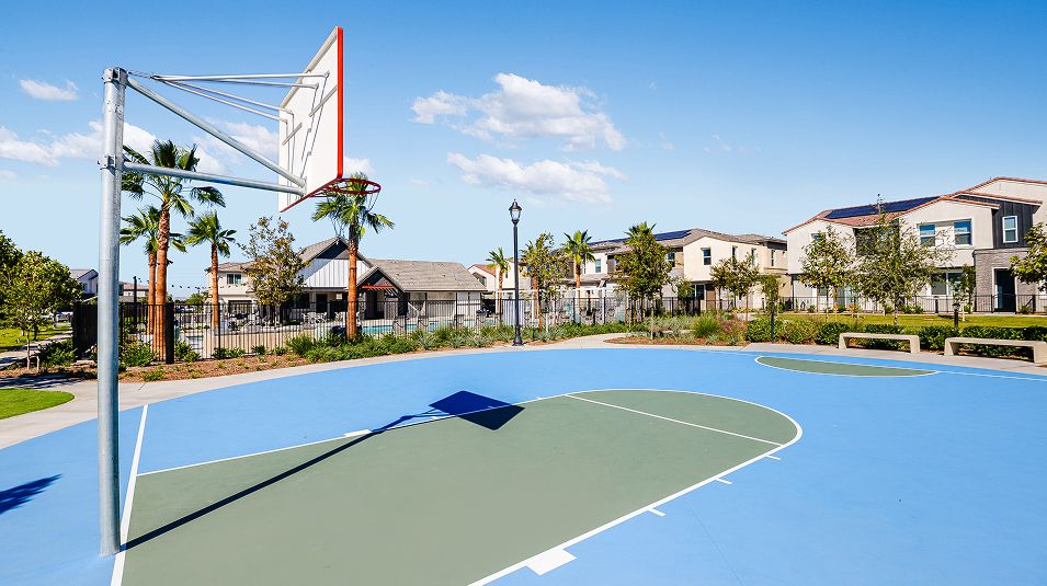 Falloncrest Amenity Sports Court Basketball 1of5