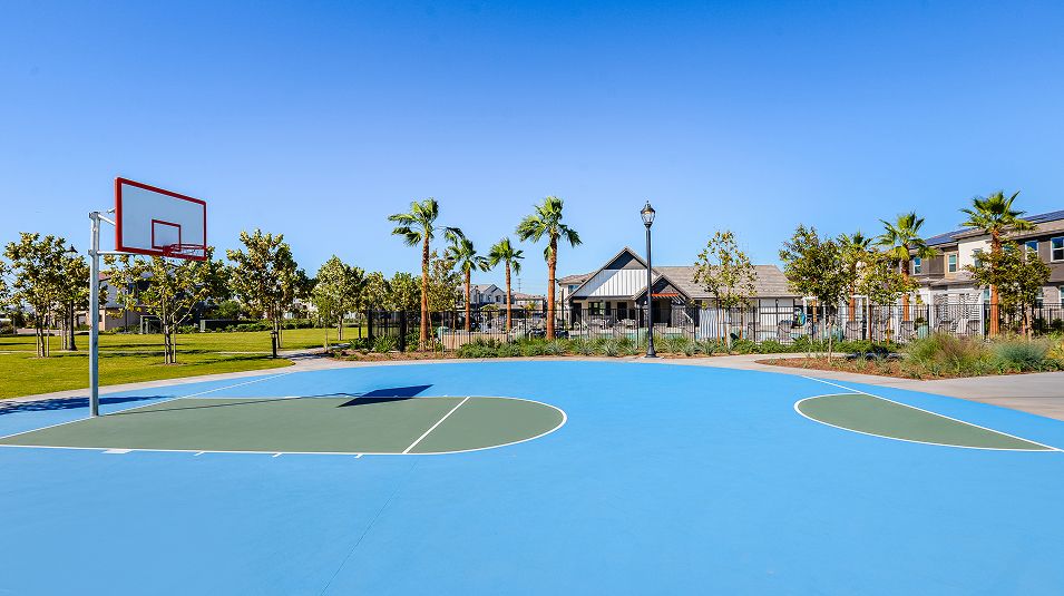 Falloncrest Amenity Sports Court Basketball 2of5