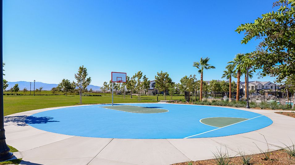 Falloncrest Amenity Sports Court Basketball 3of5