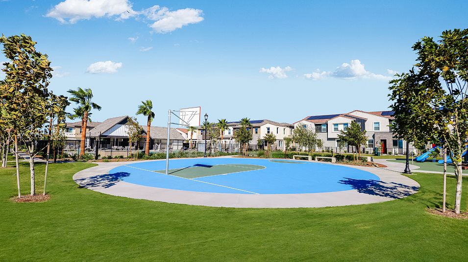 Falloncrest Amenity Sports Court Basketball 4of5