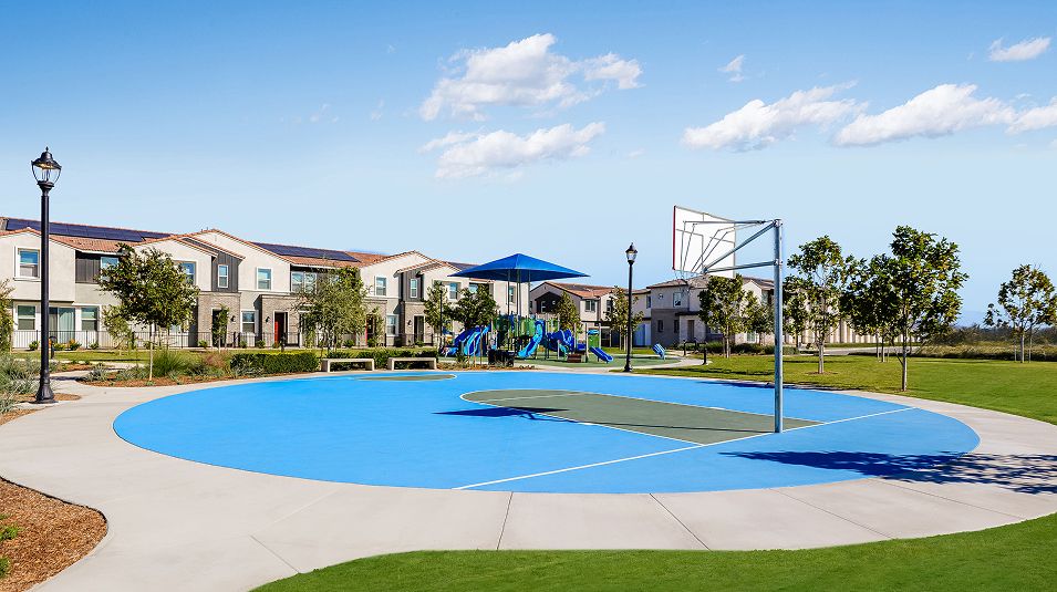 Falloncrest Amenity Sports Court Basketball 5of5