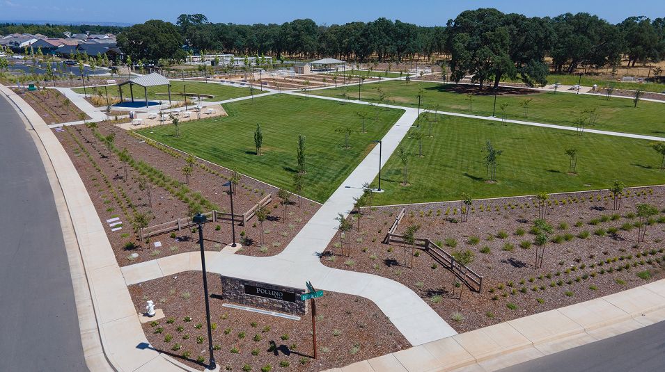 Heritage Placer Vineyards Amenity Pollino Park 1of6