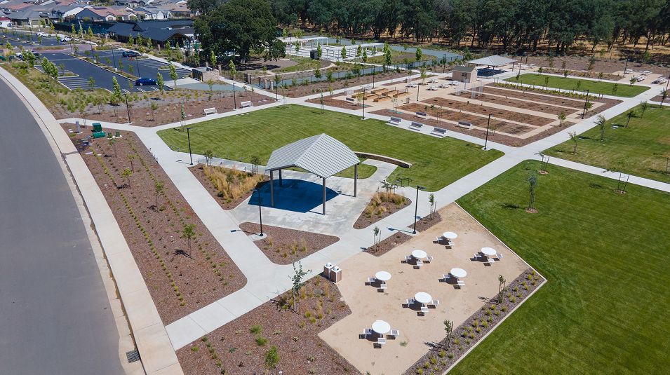 Heritage Placer Vineyards Amenity Pollino Park 2of6