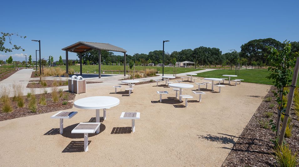 Heritage Placer Vineyards Amenity Pollino Park 3of6