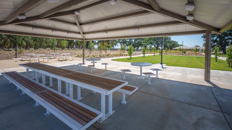 Heritage Placer Vineyards Amenity Pollino Park 4of6