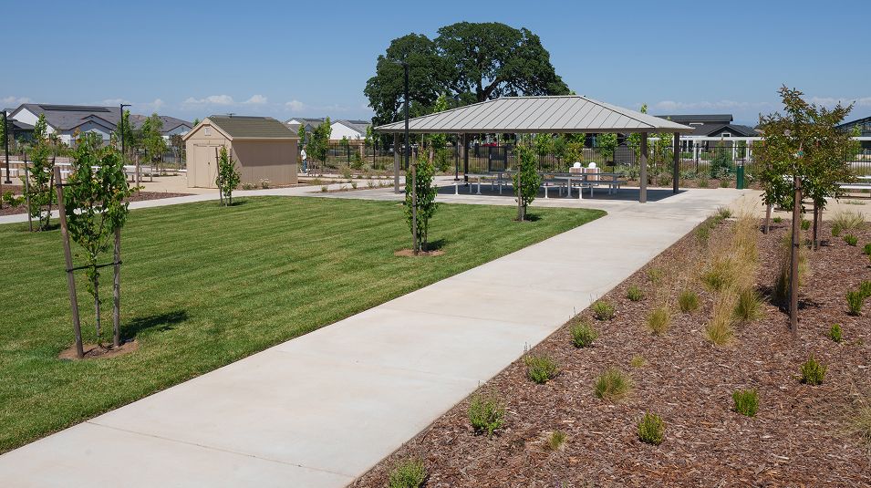 Heritage Placer Vineyards Amenity Pollino Park 5of6