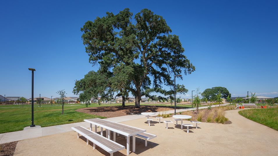 Heritage Placer Vineyards Amenity Pollino Park 6of6