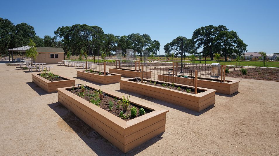 Heritage Placer Vineyards Amenity Pollino Park Garden 2of2