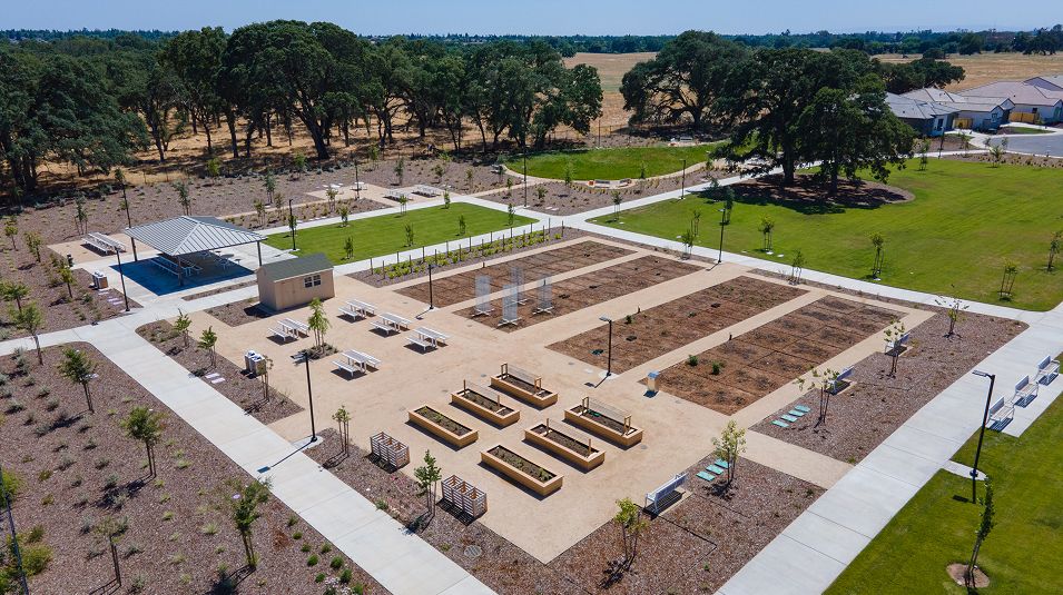 Heritage Placer Vineyards Amenity Pollino Park Garden 1of2