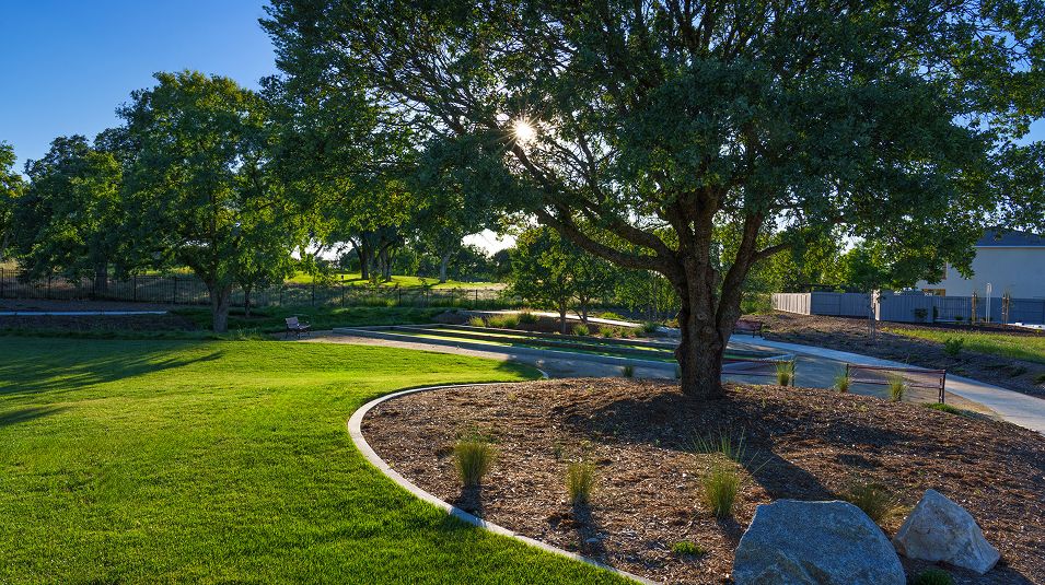 Links Amenity Park 2of2