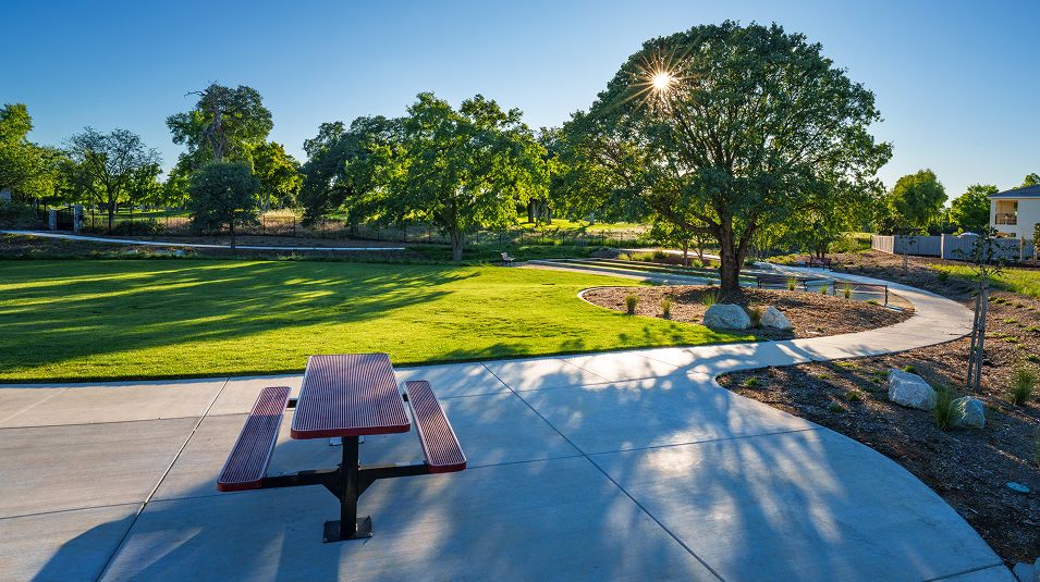Links Amenity Park Bench 2of3
