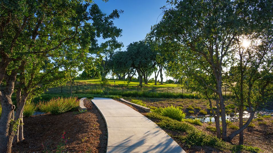 Links Amenity Park Trail 2of2