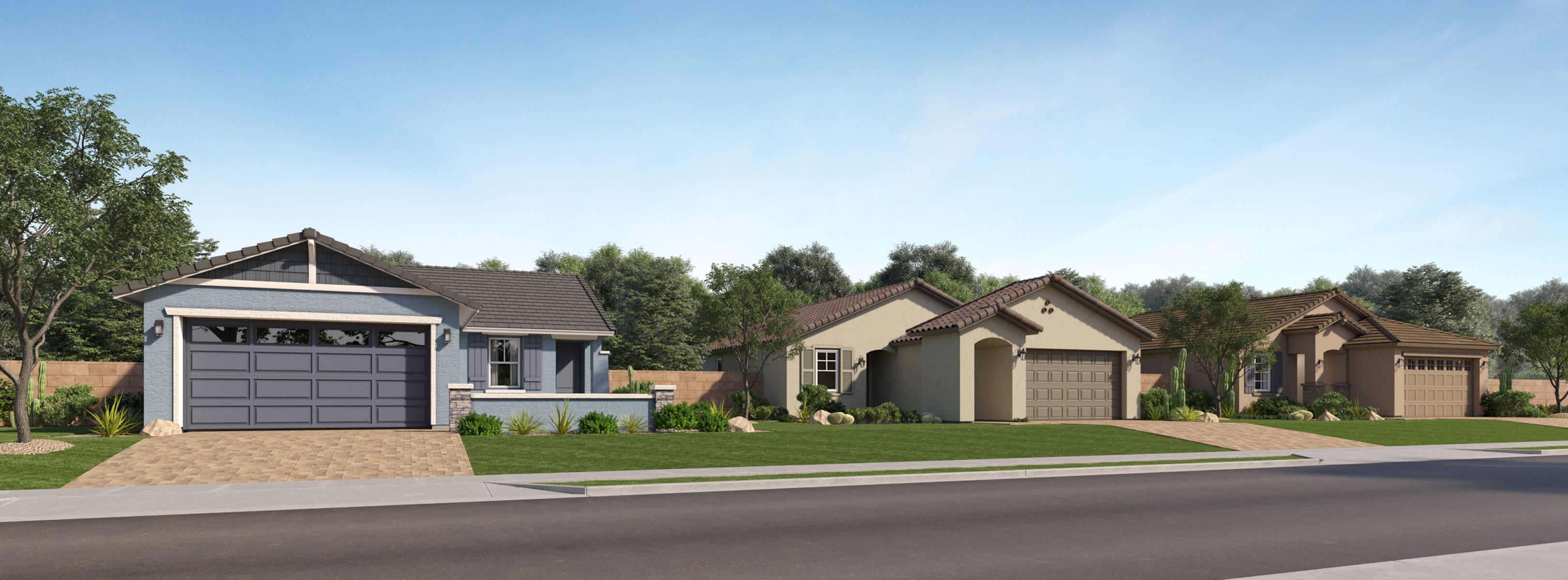 Premier Blossom Rock Streetscape