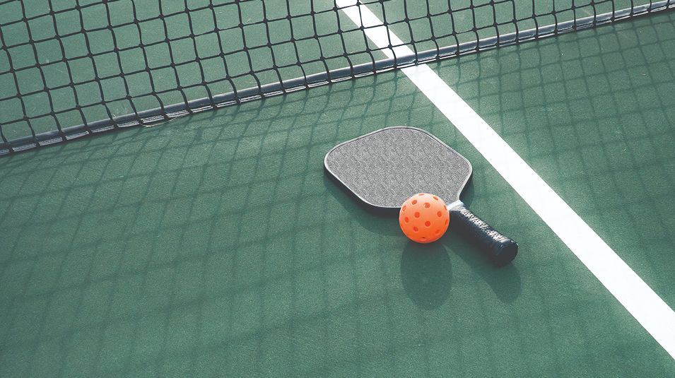 N Pic Sports Pickleball Court Racket