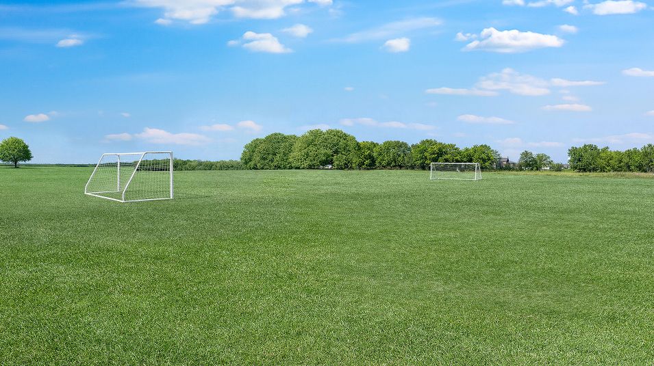 Arbor Lakes Amenity Park