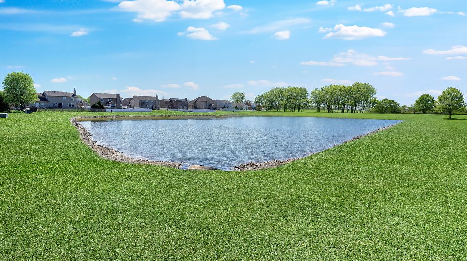 Arbor Lakes Amenity Pond