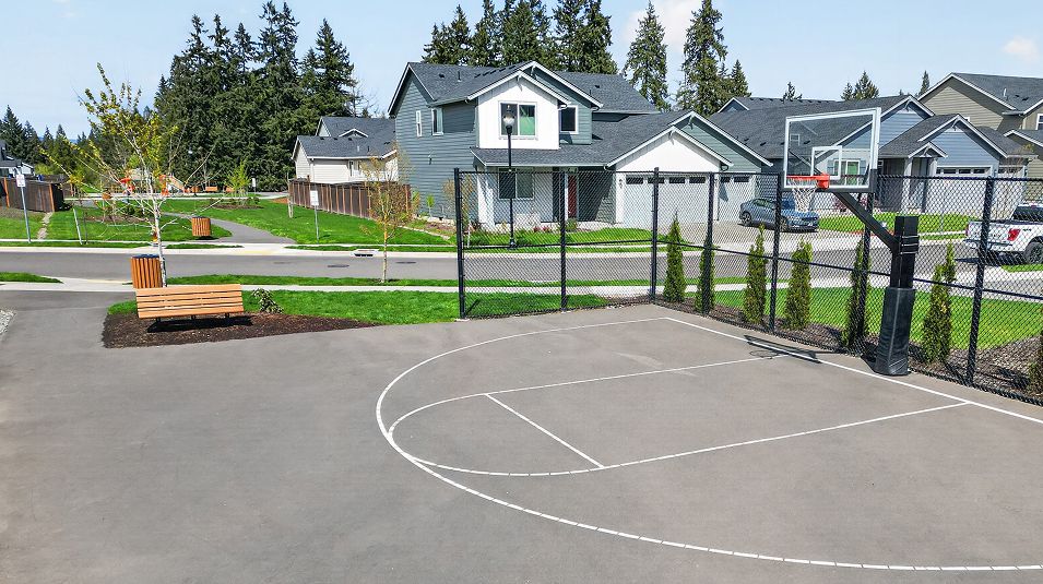 Ridgefield Heights Amenity Basketball