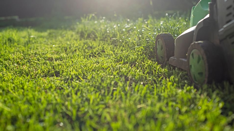 N Pic Decor Home Lawnmower Grass