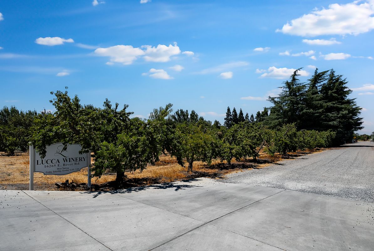 Ripon Lucca Winery