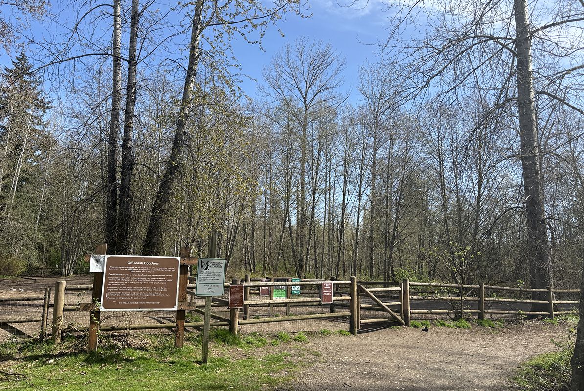 Bothell Tambark Creek Off Leash Dog Park 1of2