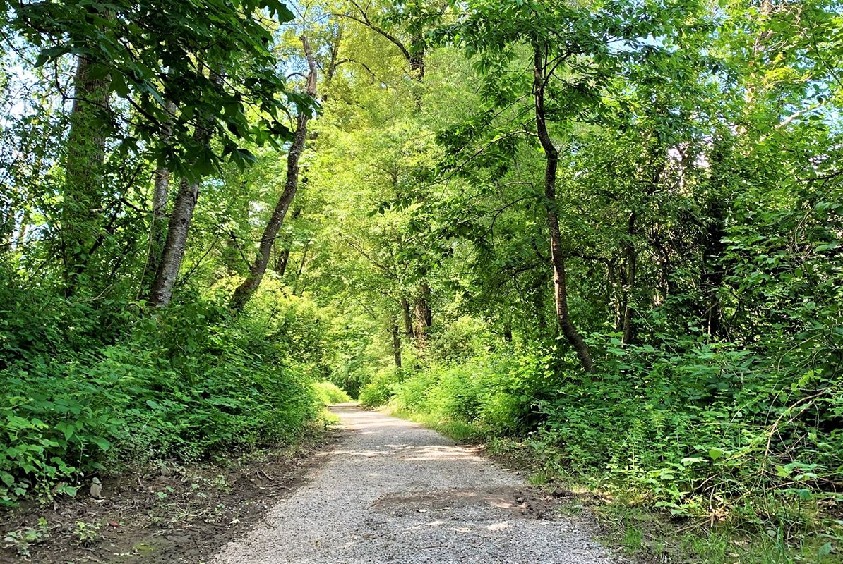 Cityof Sultan Generic Trail