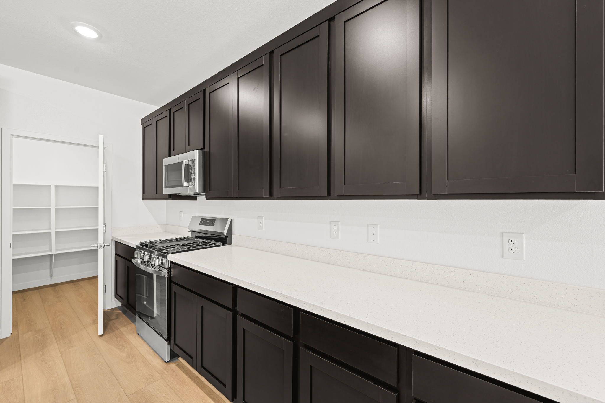 10 web or mls Lennar  1509 CAPRI CASCADES CT 10