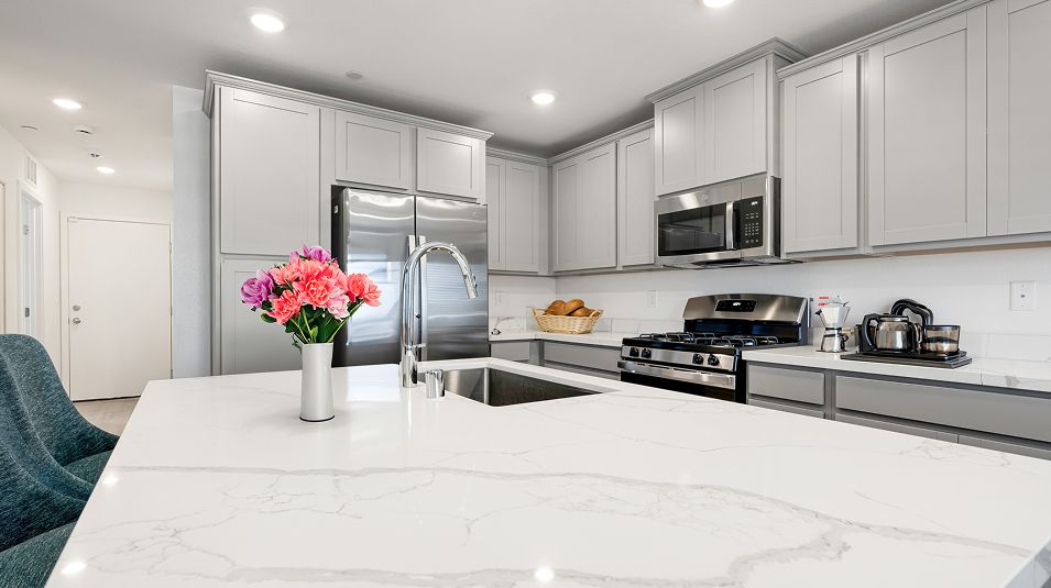 Bronze EI Kitchen Quartz Counter