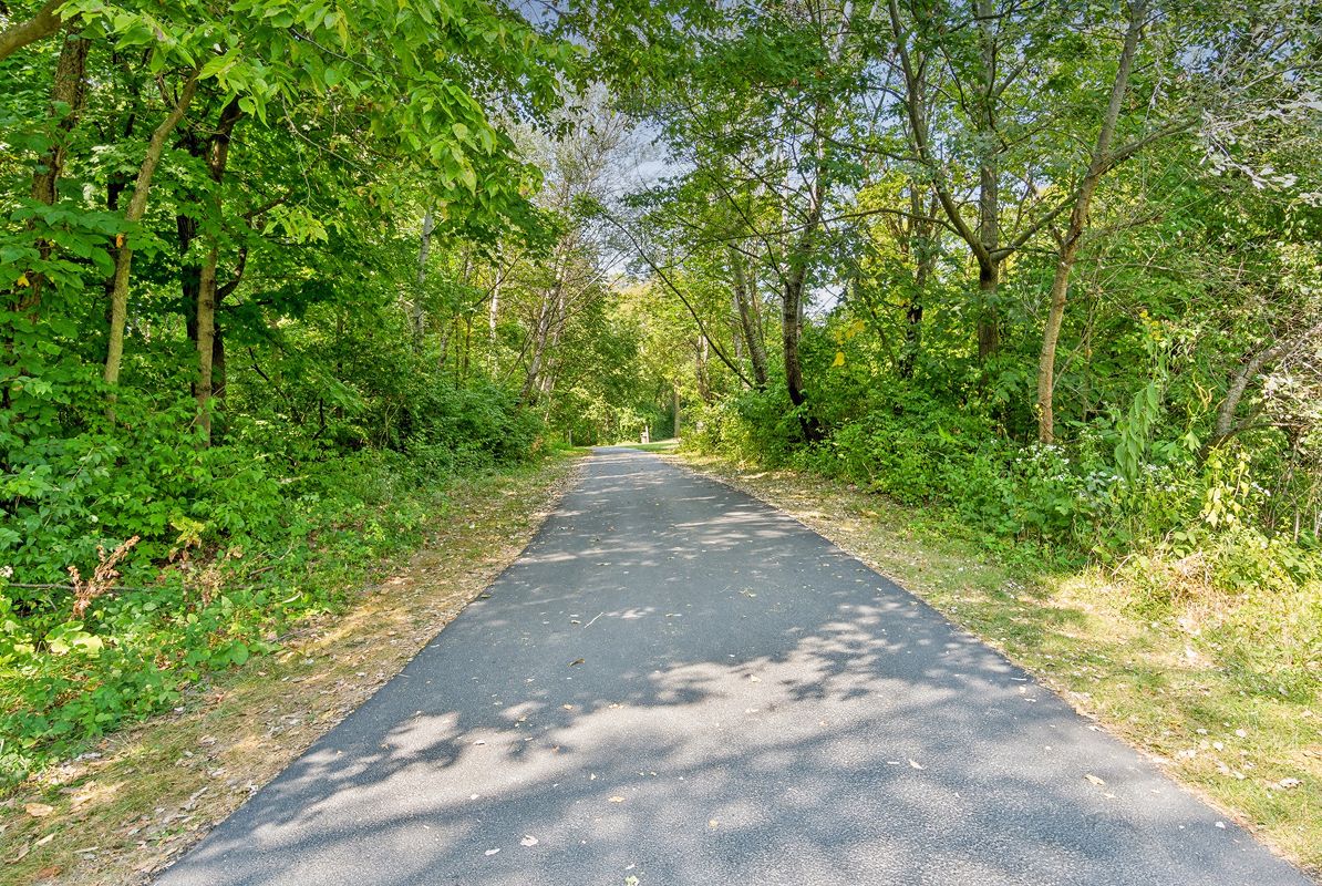 Shorewood Hammel Woods 03