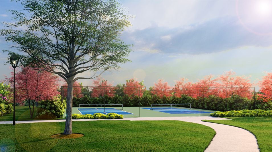 Harris Mill Amenity Pickleball 2of2
