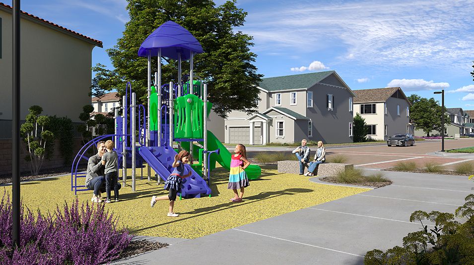 Meadowood Amenity Playground