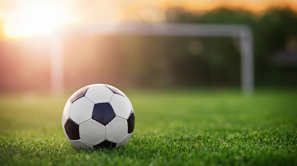 N Pic Sports Soccer Ball Grass
