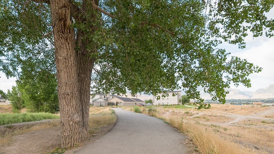 Brookfield Amenity Trail