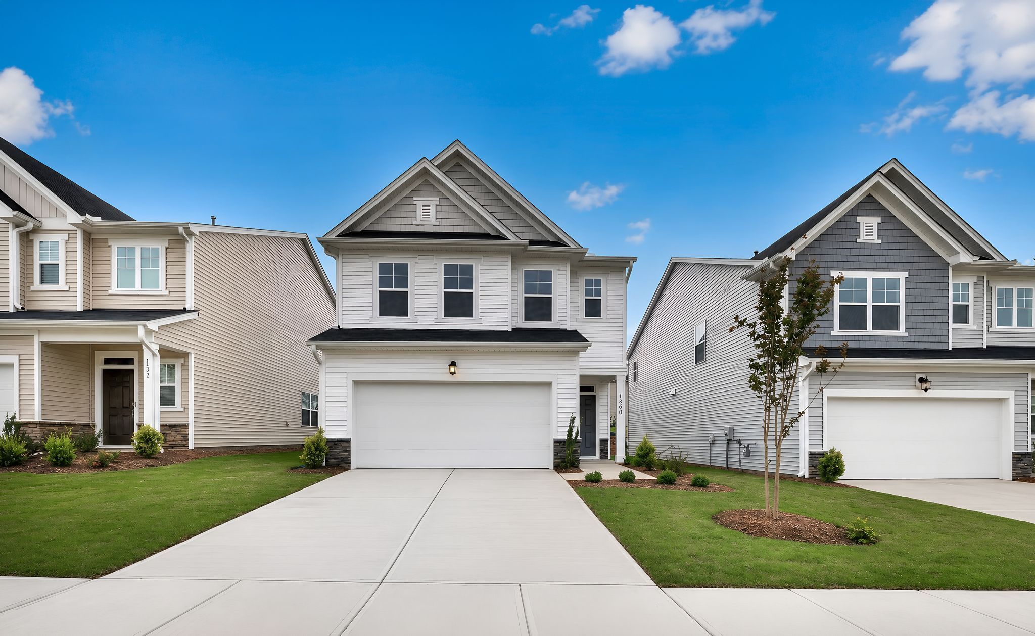 1360 ADLER COVE ROAD (Chadwick)