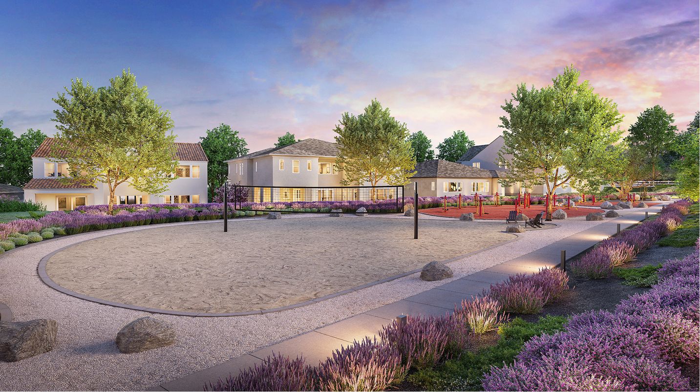 Vinova Amenity Volleyball