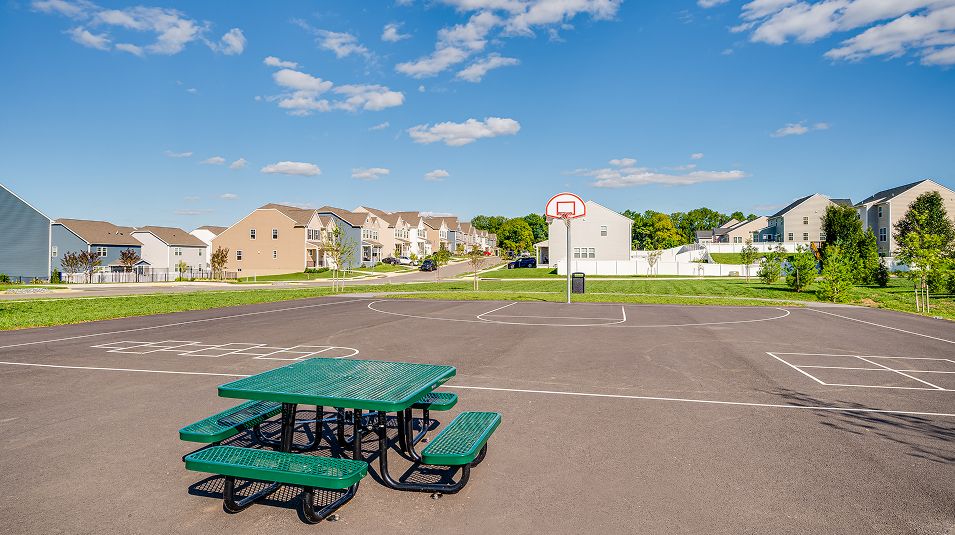 Shenandoah Springs Amenity Sports Court 5of9