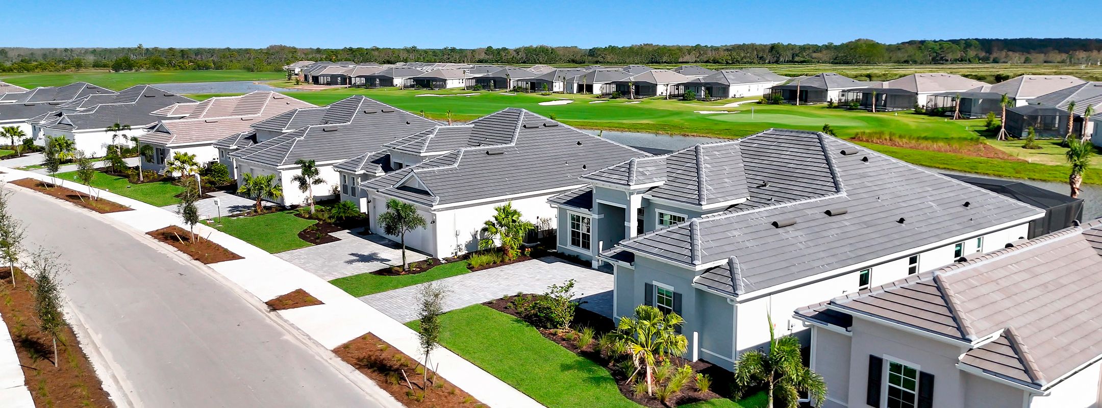Estate Homes Webbs Reserve Streetscape 2of2