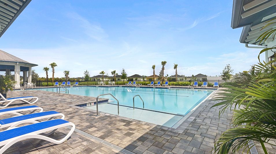 Veranda Preserve Amenity Pool 6of6