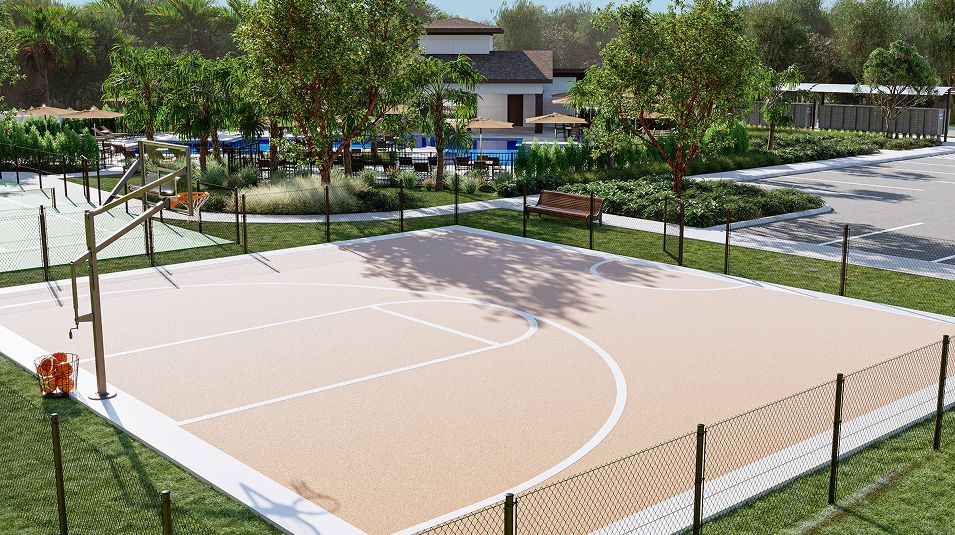 Sugarloaf Ridge Amenity Basketball