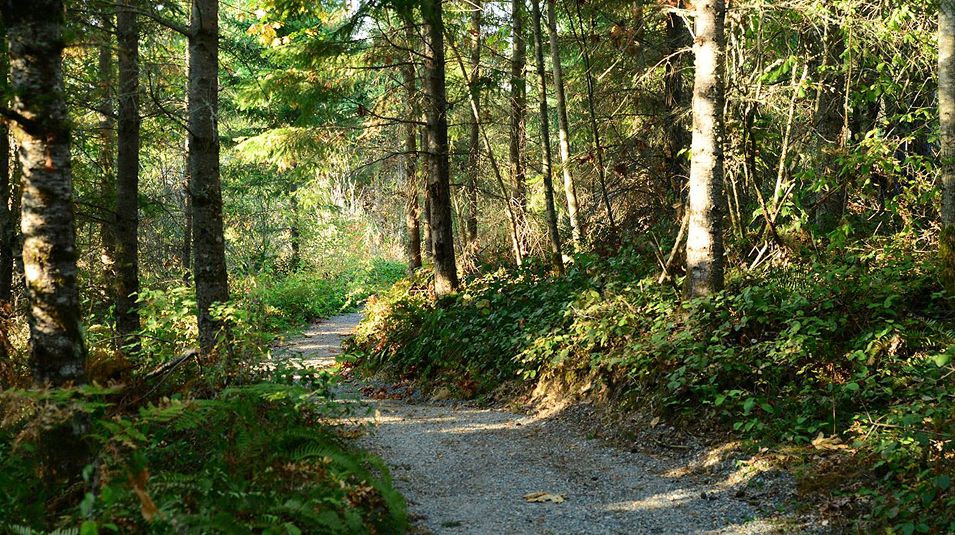 Tehaleh Amenity Trail