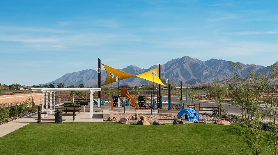 Alamar Discovery Amenity Playground Picnic Area Greenbelt