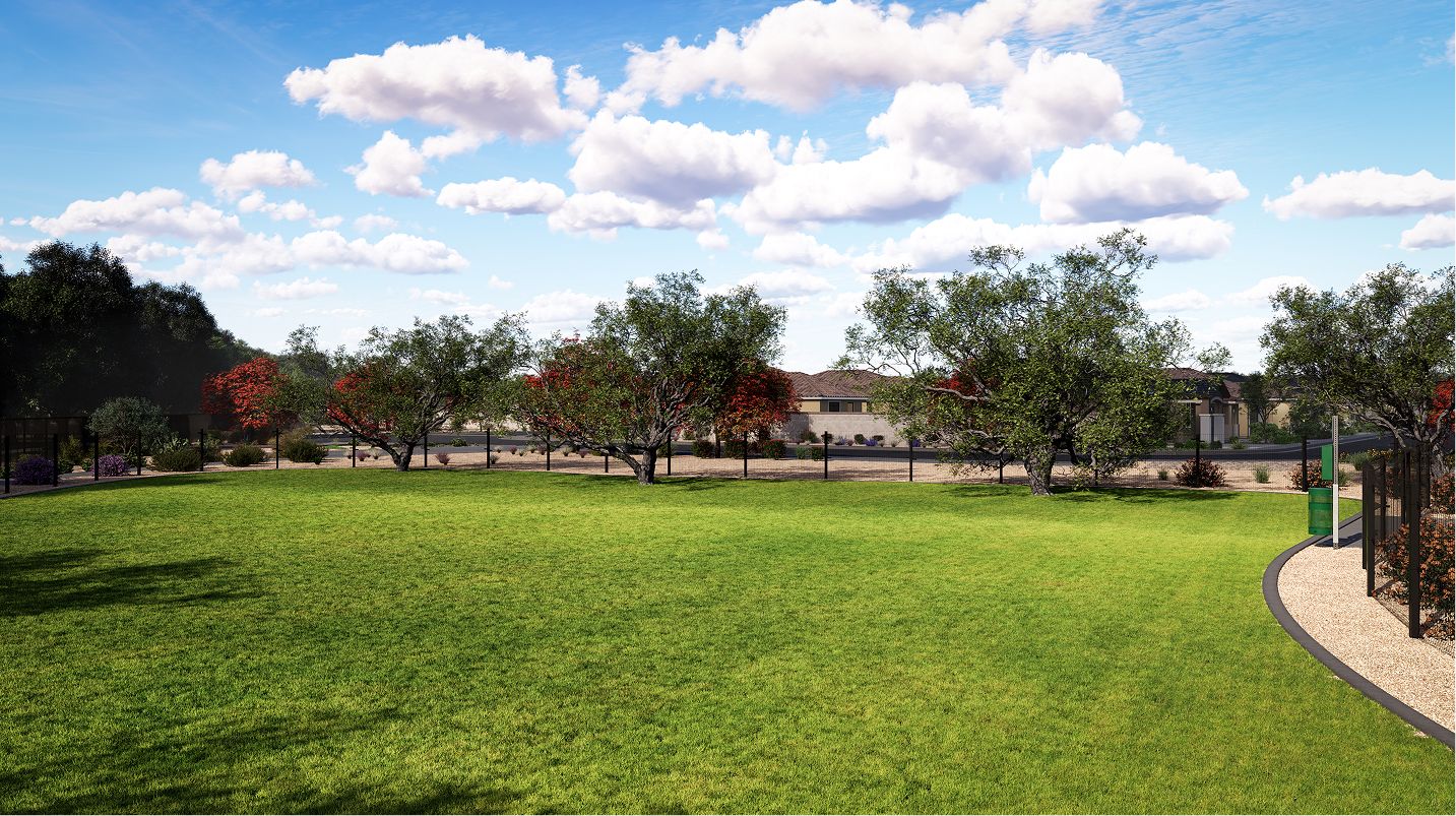 Riverwalk Discovery Amenity Dog Park