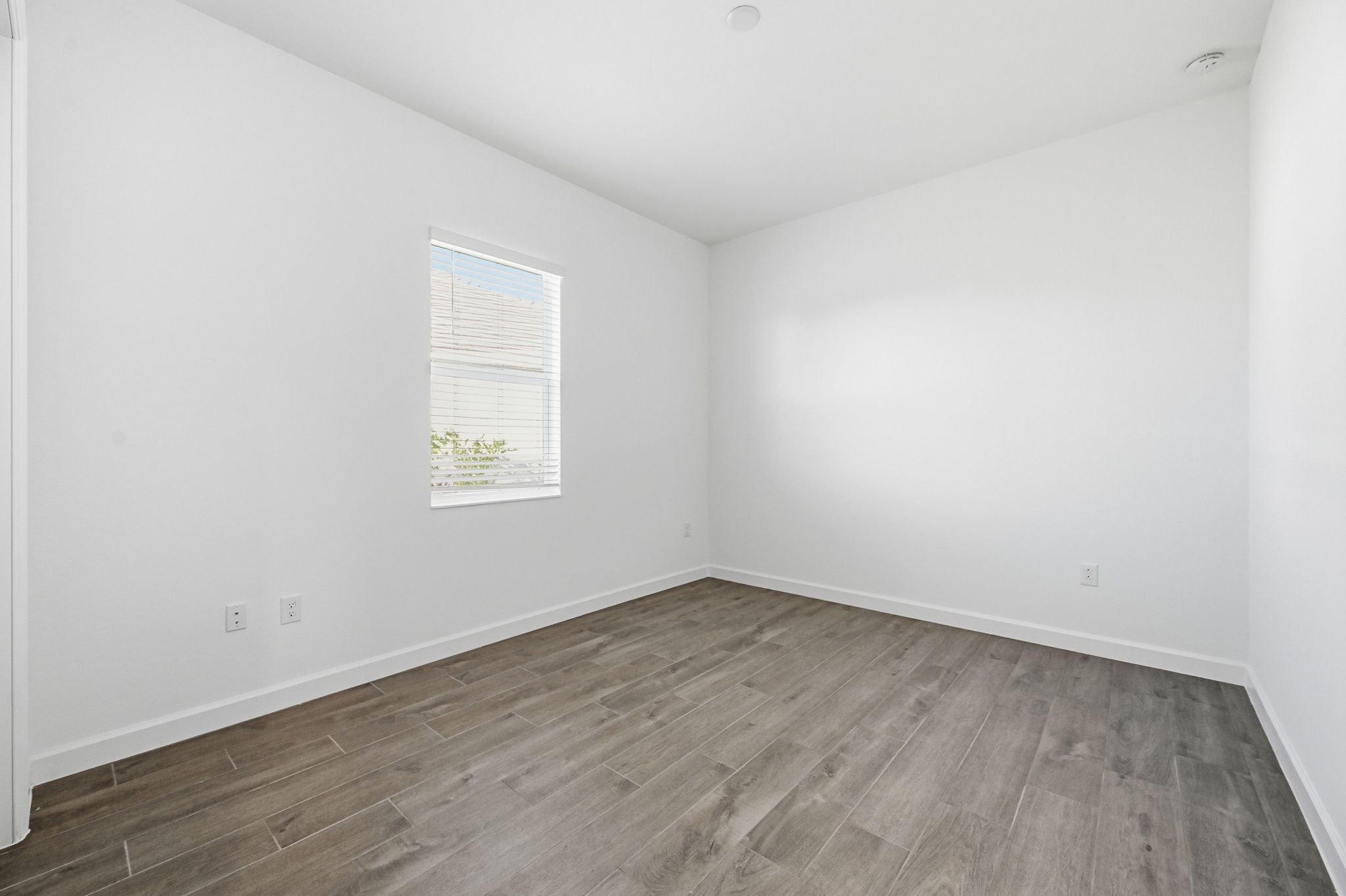 Webbs Reserve Aster Grande 15