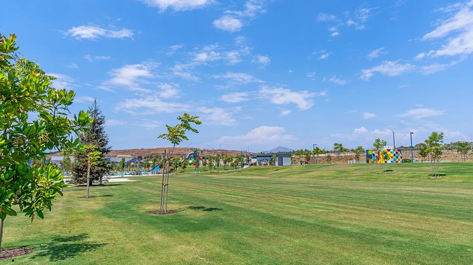 Cota Vera Amenity Central Square Park Lawn