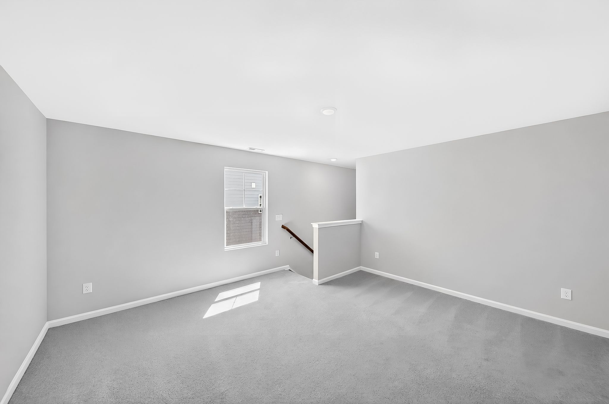 Rosedale Dylan 8